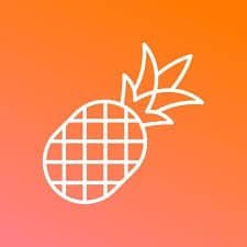 PineApple Builder- Best AI Website Builders - 2