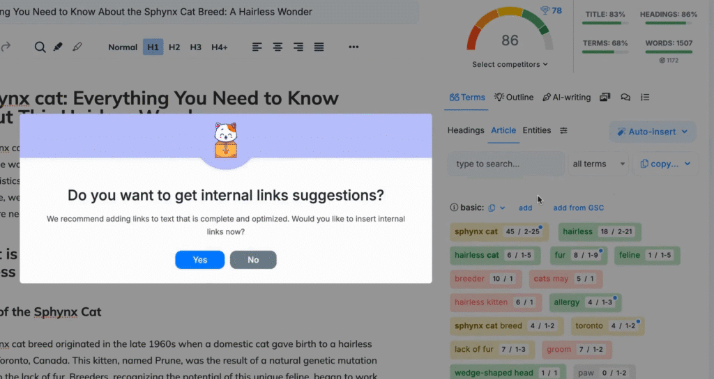 Neuronwriter Review: Neuronwriter Internal Linking