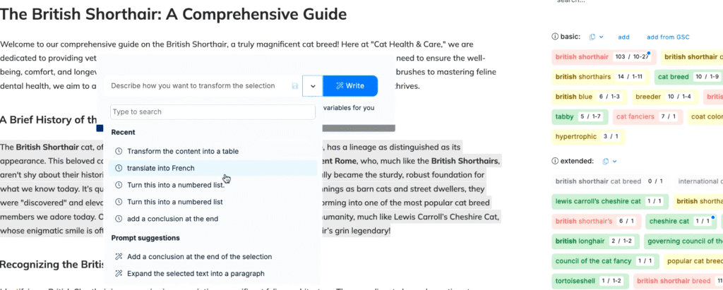 Neuronwriter Review: Editing with Neuronwriter Built-in Chatbot 